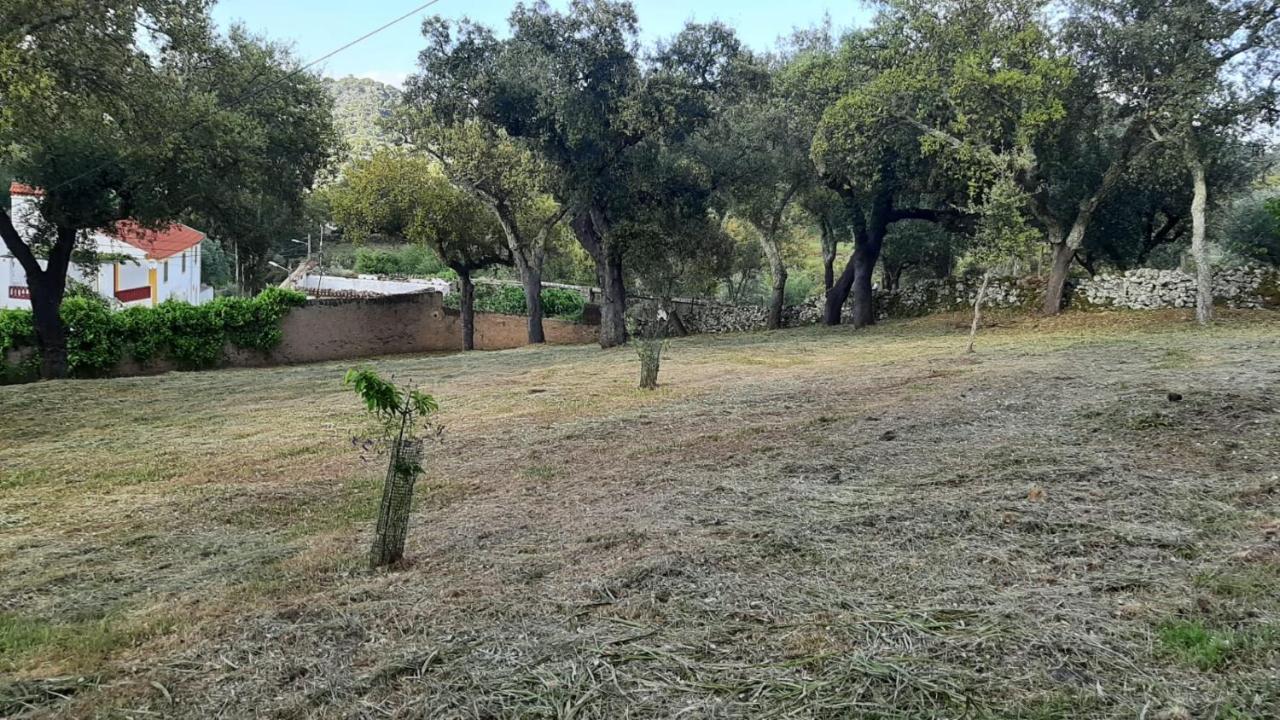Casa Do Passaro Villa Galegos  Ngoại thất bức ảnh
