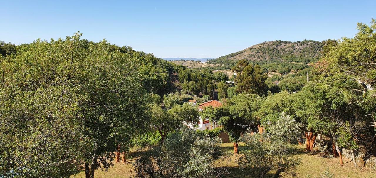 Casa Do Passaro Villa Galegos  Ngoại thất bức ảnh